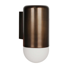 Ivor Frosted Glass Outdoor Wall Light